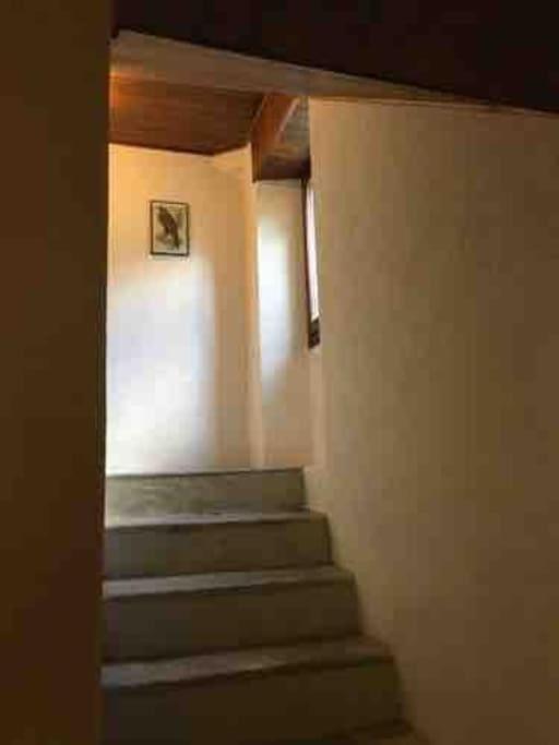 Rustico Ca Laura Brione (Verzasca)